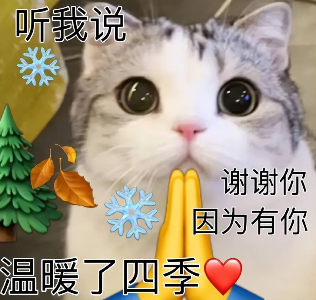 c15681f3e35d41c89b371c755744c97f.jpg