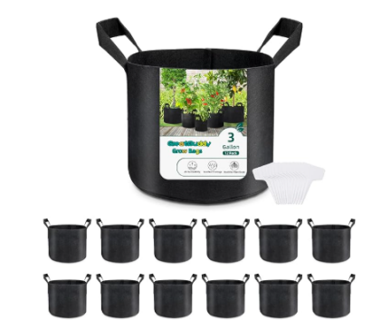 https://assert.wearesellers.com/questions/20250411/c157addcdc6d64507e64e0f25a41ea24.png https://assert.wearesellers.com/questions/20250411/c157addcdc6d64507e64e0f25a41ea24.png